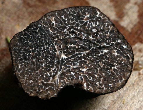 Truffes Truffes