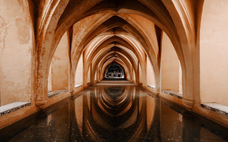 max-van-den-oetelaar-K4cohyVcYMc-unsplash max-van-den-oetelaar-K4cohyVcYMc-unsplash