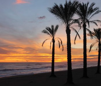 Beach landscape with palms at sunset in Mediterranean Sea.Summer and holidays concept.