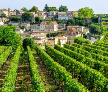 View on vineyards of Saint Emilion village in Bordeaux region, France