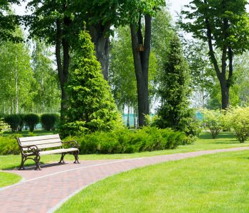 Long stone pavement with bench in the green park