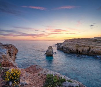 pexels-juliana-chyzhova-1353029-2648989