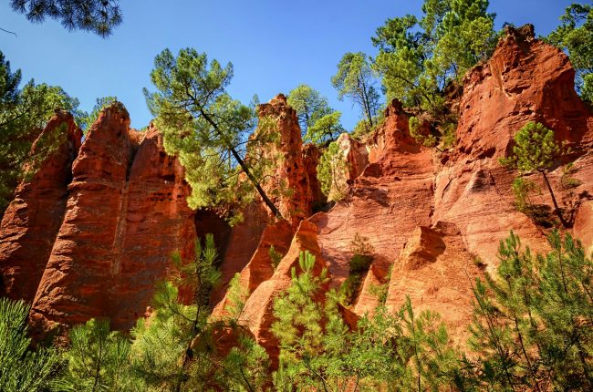 pexels-rangoni-gianluca-41700784-10708628