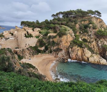 pexels-rolf-gremberghoven-956040480-29111217